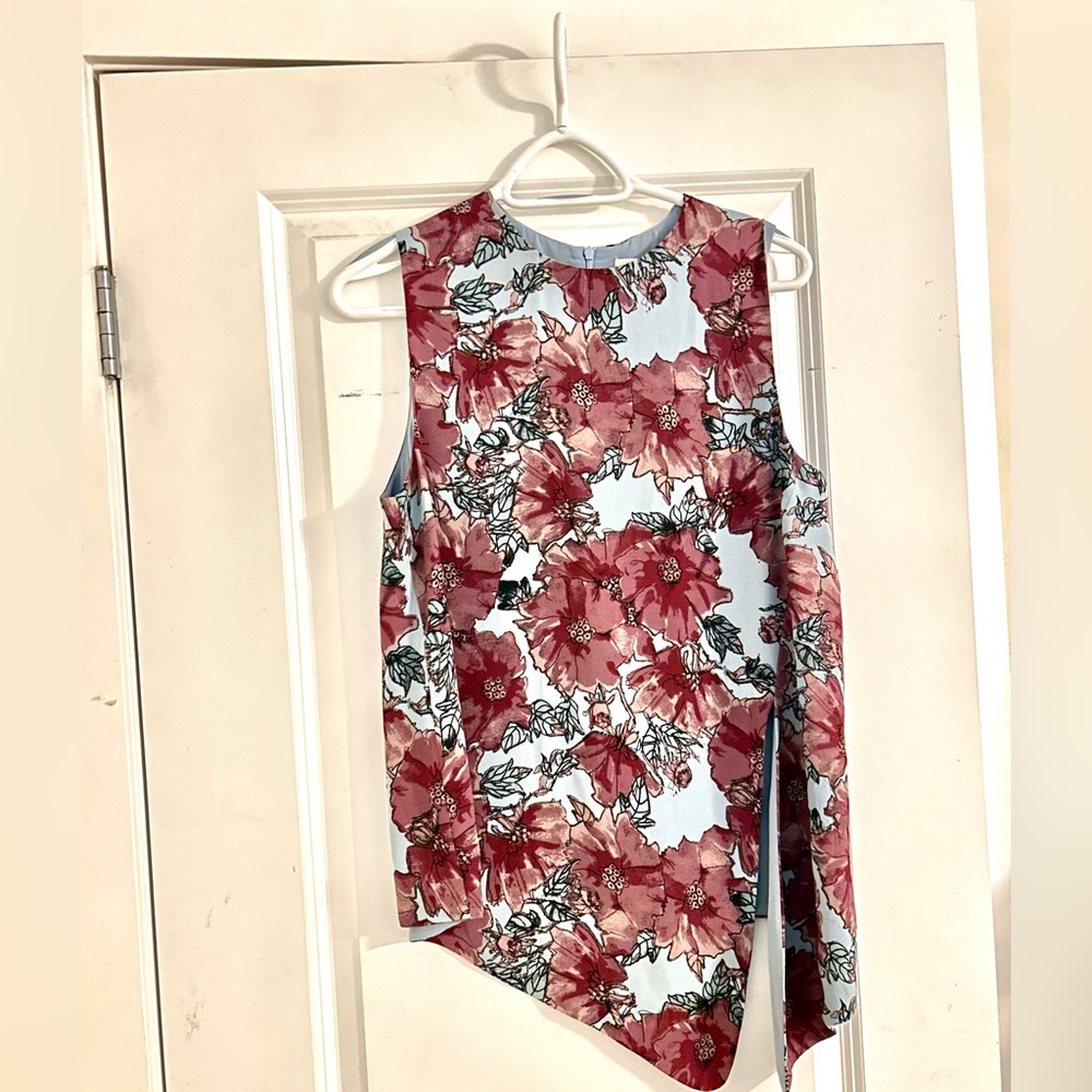 Babaton Blue and Pink Floral Top
